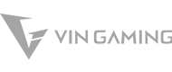 VN Gaming